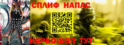 стаф Бузулук